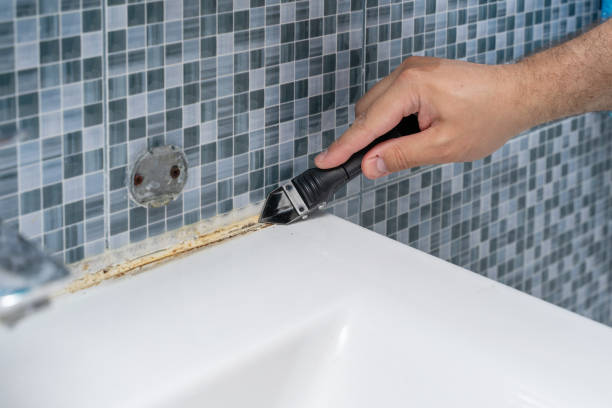 Reliable Hainesville, IL Mold Remediation Solutions